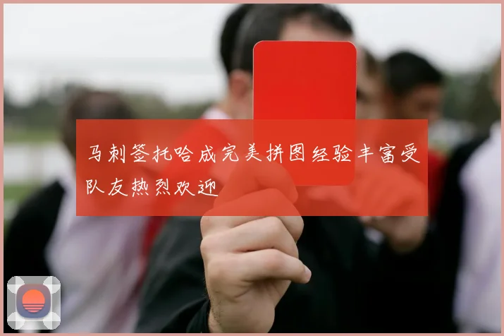 马刺签托哈成完美拼图经验丰富受队友热烈欢迎