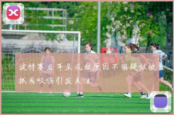 波特赛后耳朵流血原因不明疑似被抓或咬伤引发关注