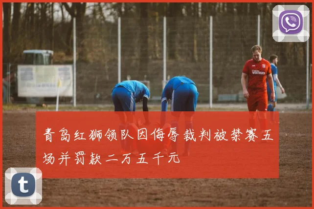 青岛红狮领队因侮辱裁判被禁赛五场并罚款二万五千元
