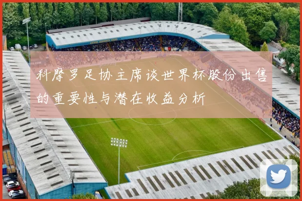 科摩罗足协主席谈世界杯股份出售的重要性与潜在收益分析